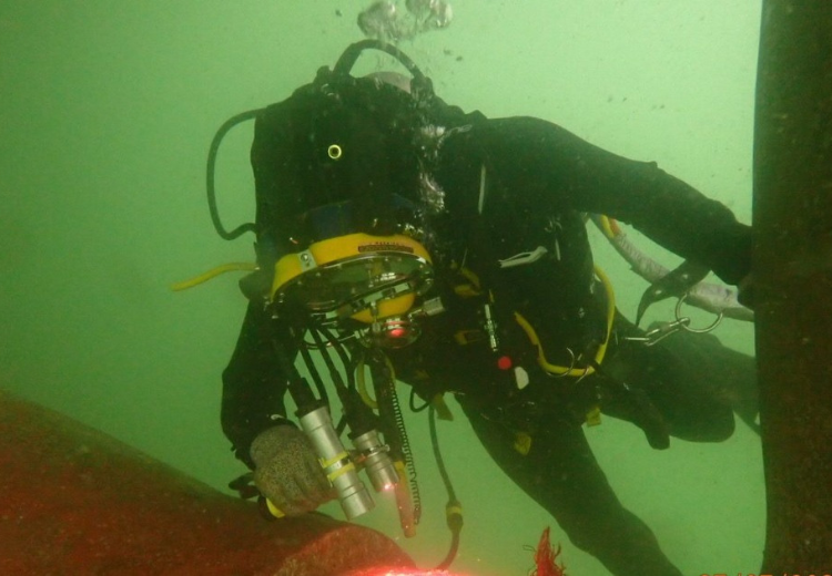 Une journée au port 