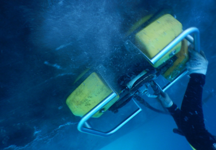 Une journée au port 
